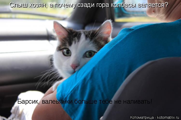 Слыш хозян, а почему сзади гора колбасы валяется? Барсик, валеьянки больше тебе не наливать!... Котоматрица: Слыш хозян, а почему сзади гора колбасы валяется? Барсик, валеьянки больше тебе не наливать!