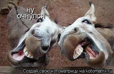 Котоматрица: ну очнулся
