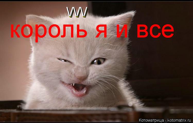 \/\/\/ \/\/\/ король я и все... Котоматрица: \/\/\/ \/\/\/ король я и все