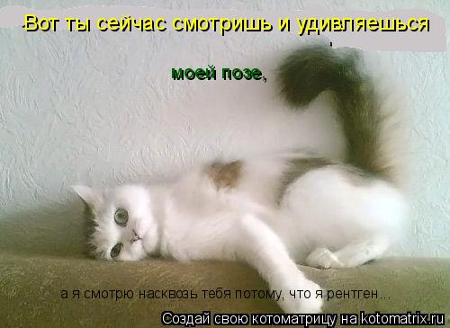 Вот ты сейчас смотришь и удивляешься а я смотрю насквозь тебя потому, что я рентген... моей позе,... Котоматрица: Вот ты сейчас смотришь и удивляешься а я смотрю насквозь тебя потому, что я рентген... моей позе,