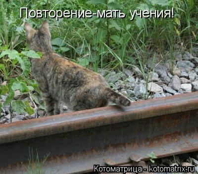 Повторение-мать учения!... Котоматрица: Повторение-мать учения!
