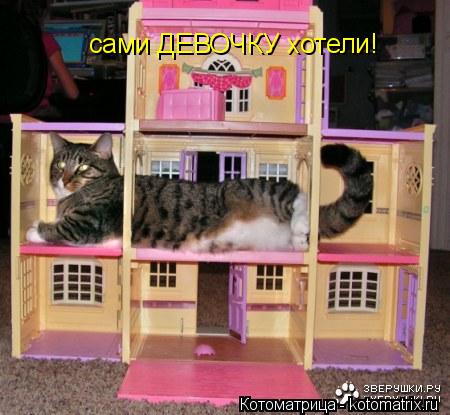 Котоматрица: сами ДЕВОЧКУ хотели!