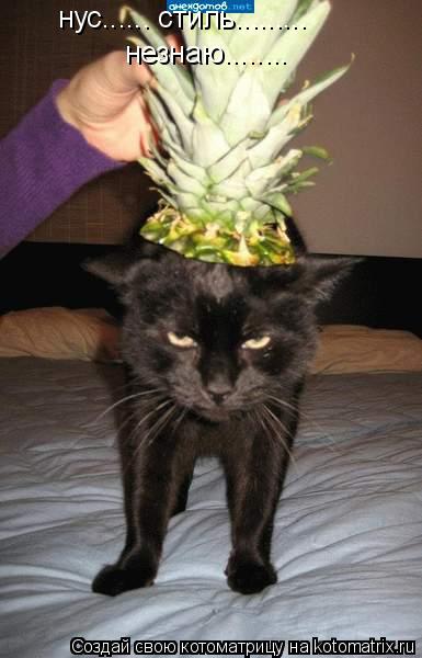 Котоматрица: нус...... стиль......... незнаю........
