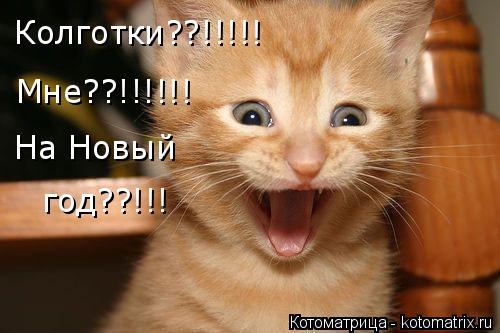 Котоматрица: Мне??!!!!!! Колготки??!!!!! На Новый год??!!!