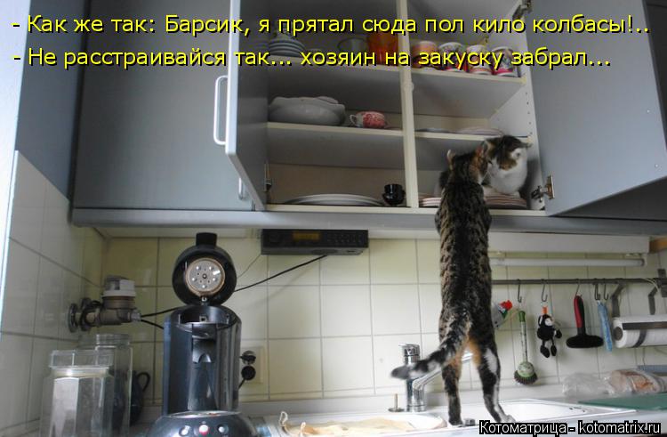 Котоматрица: - Как же так: Барсик, я прятал сюда пол кило колбасы!..                - Не расстраивайся так... хозяин на закуску забрал...