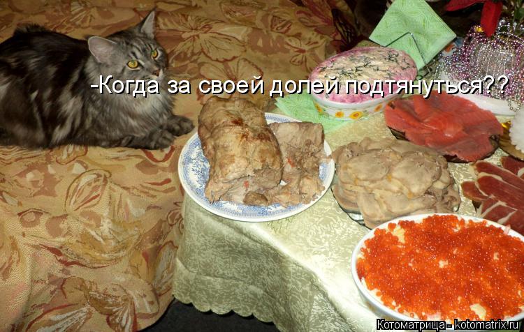 Котоматрица: -Когда за своей долей подтянуться??