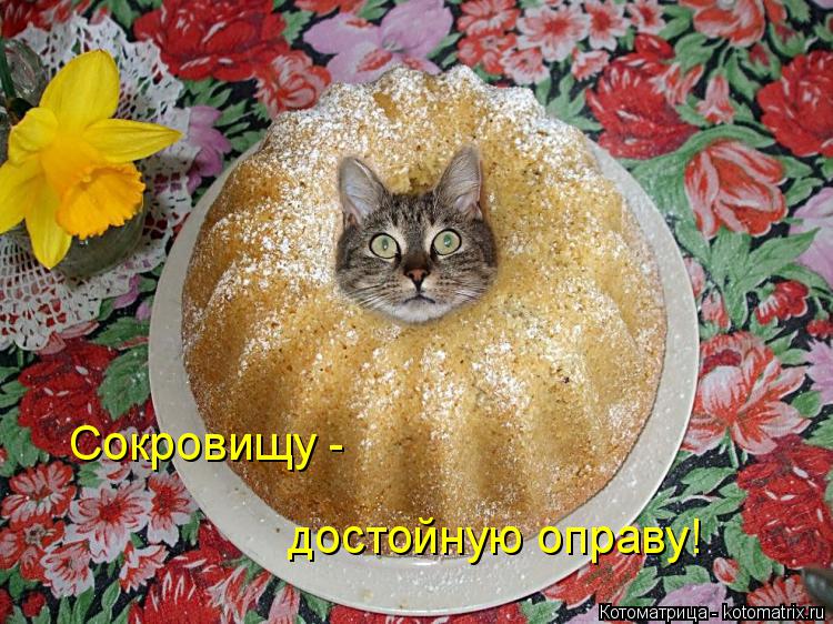 Сокровищу - достойную оправу!... Котоматрица: Сокровищу - достойную оправу!