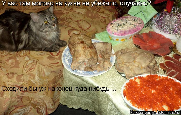 Котоматрица: У вас там молоко на кухне не убежало, случайно? Сходили бы уж наконец куда нибудь....