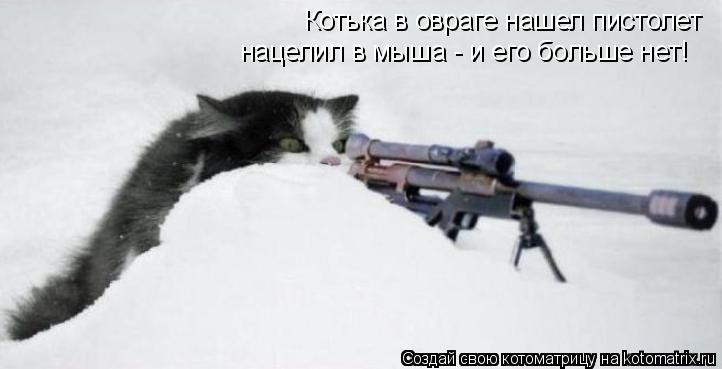 Котька в овраге нашел пистолет нацелил в мыша - и его больше нет!... Котоматрица: Котька в овраге нашел пистолет нацелил в мыша - и его больше нет!