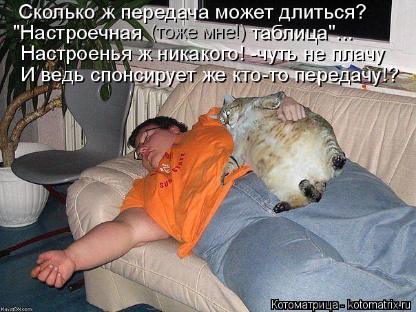 Котоматрица: Сколько ж передача может длиться? (тоже мне!) Настроенья ж никакого! -чуть не плачу И ведь спонсирует же кто-то передачу!? "Настроечная              