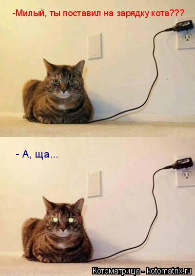 Котоматрица: -Милый, ты поставил на зарядку кота??? - А, ща...