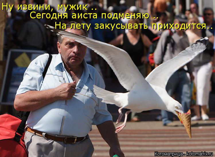 Котоматрица: Ну извини, мужик .. На лету закусывать приходится.. Сегодня аиста подменяю ..