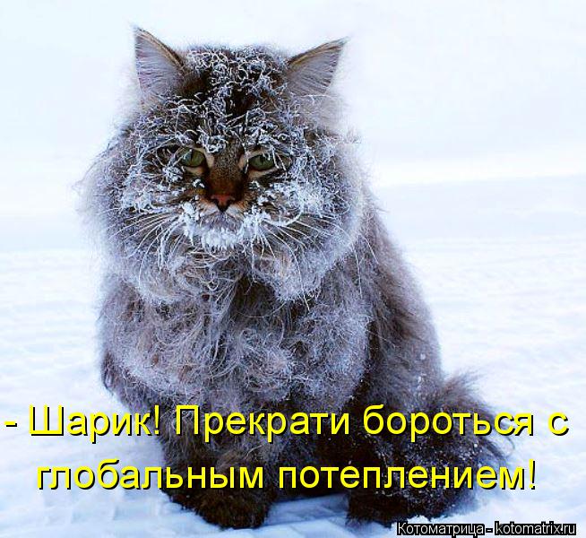 глобальным потеплением! - Шарик! Прекрати бороться с... Котоматрица: глобальным потеплением! - Шарик! Прекрати бороться с