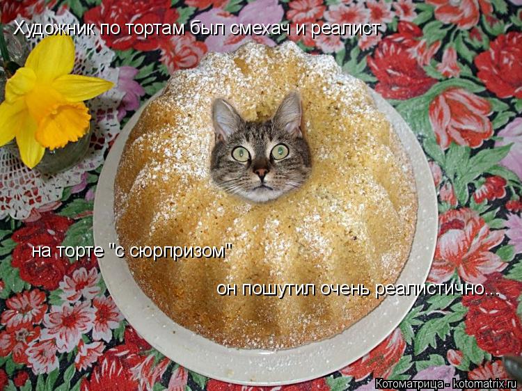 Котоматрица: Художник по тортам был смехач и реалист на торте "с сюрпризом"  он пошутил очень реалистично...