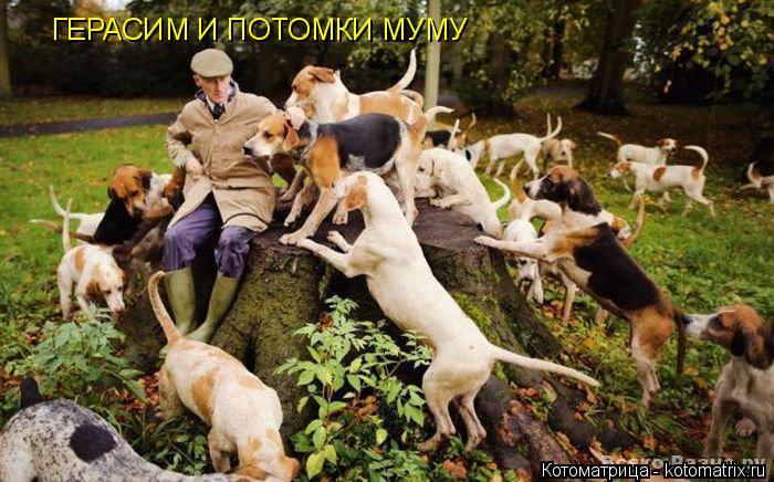 ГЕРАСИМ И ПОТОМКИ МУМУ... Котоматрица: ГЕРАСИМ И ПОТОМКИ МУМУ