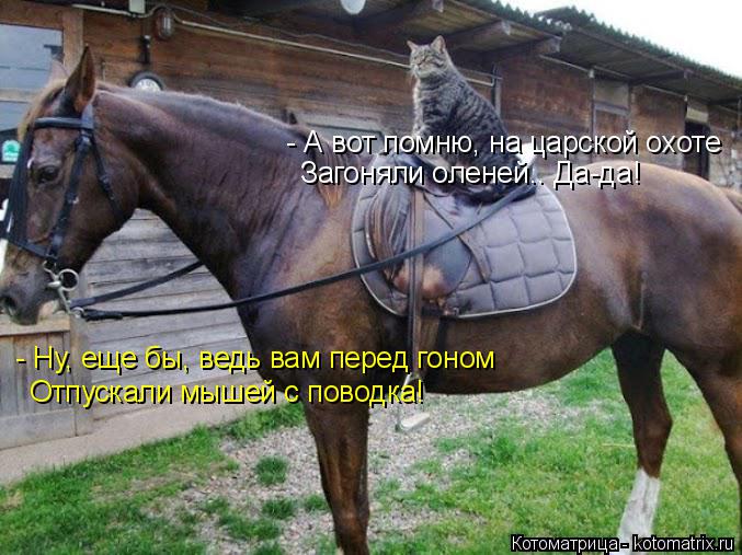 - А вот помню, на царской охоте Загоняли оленей.. Да-да! - Ну, еще бы, ведь вам перед гоном Отпускали... Котоматрица: - А вот помню, на царской охоте Загоняли оленей.. Да-да! - Ну, еще бы, ведь вам перед гоном Отпускали мышей с поводка!