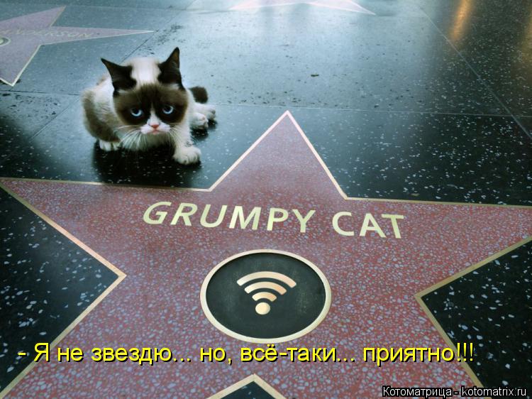 - Я не звездю... но, всё-таки... приятно!!!... Котоматрица: - Я не звездю... но, всё-таки... приятно!!!