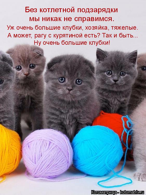 Без котлетной подзарядки мы никак не справимся. Уж очень большие клубки, хозяйка, тяжелые. А может, ... Котоматрица: Без котлетной подзарядки мы никак не справимся. Уж очень большие клубки, хозяйка, тяжелые. А может, рагу с курятиной есть? Так и быть... Ну оче