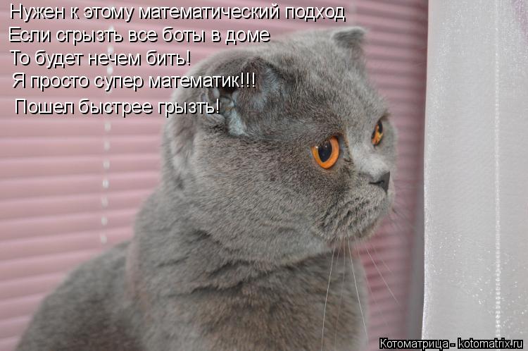 Нужен к этому математический подход Если сгрызть все боты в доме То будет нечем бить! Я просто супер... Котоматрица: Нужен к этому математический подход Если сгрызть все боты в доме То будет нечем бить! Я просто супер математик!!! Пошел быстрее грызть!