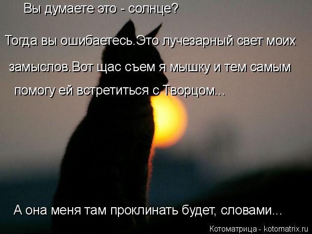 Вы думаете это - солнце? Тогда вы ошибаетесь.Это лучезарный свет моих замыслов.Вот щас съем я мышку ... Котоматрица: Вы думаете это - солнце? Тогда вы ошибаетесь.Это лучезарный свет моих замыслов.Вот щас съем я мышку и тем самым помогу ей встретиться с Твор