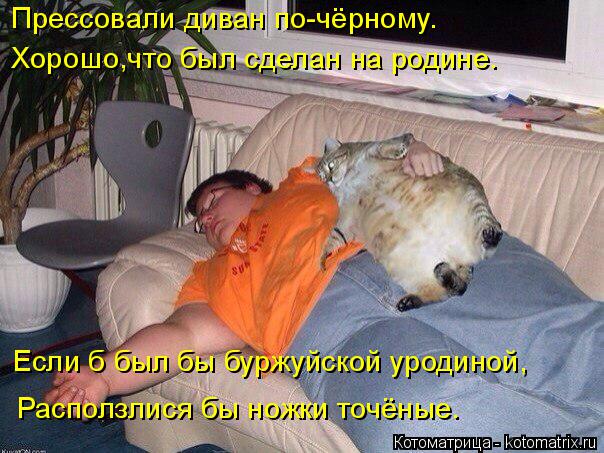 Котоматрица: Прессовали диван по-чёрному. Хорошо,что был сделан на родине. Если б был бы буржуйской уродиной, Расползлися бы ножки точёные.