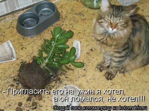 - Пригласить его на ужин я хотел, а он ломался, не хотел!!!... Котоматрица: - Пригласить его на ужин я хотел, а он ломался, не хотел!!!