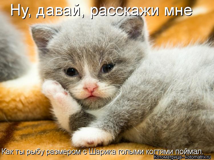 Ну, давай, расскажи мне Как ты рыбу размером с Шарика голыми когтями поймал.... Котоматрица: Ну, давай, расскажи мне Как ты рыбу размером с Шарика голыми когтями поймал.