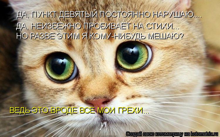 Котоматрица: ДА, ПУНКТ ДЕВЯТЫЙ ПОСТОЯННО НАРУШАЮ.... ДА, НЕИЗБЕЖНО ПРОБИВАЕТ НА СТИХИ... НО РАЗВЕ ЭТИМ Я КОМУ-НИБУДЬ МЕШАЮ? ВЕДЬ ЭТО ВРОДЕ ВСЕ МОИ ГРЕХИ...