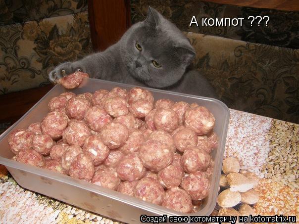 А компот ???... Котоматрица: А компот ???