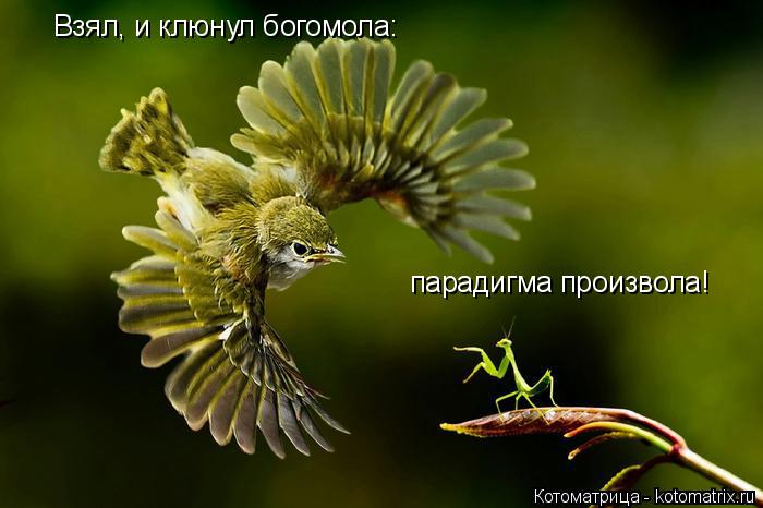 Взял, и клюнул богомола: парадигма произвола!... Котоматрица: Взял, и клюнул богомола: парадигма произвола!
