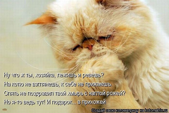 Котоматрица: Ну что ж ты, хозяйка, лежишь и ревешь? На котю не взглянешь, к себе не прижмешь. Опять не поздравил твой хмырь с наглой рожей? Но я-то ведь тут! 