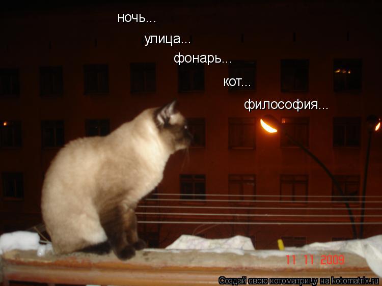 ночь... улица... фонарь... кот... философия...... Котоматрица: ночь... улица... фонарь... кот... философия...