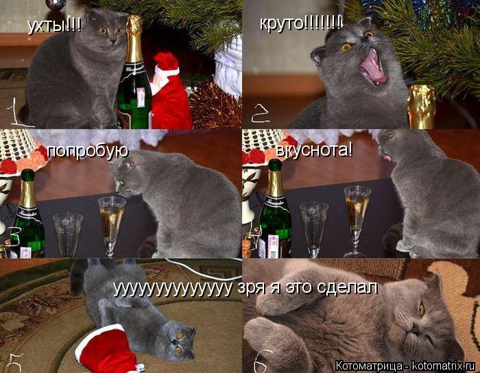 ухты!!! круто!!!!!!! попробую вкуснота! уууууууууууууу зря я это сделал... Котоматрица: ухты!!! круто!!!!!!! попробую вкуснота! уууууууууууууу зря я это сделал