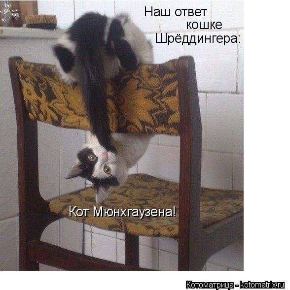 Котоматрица: Наш ответ кошке  Шрёддингера: Кот Мюнхгаузена!