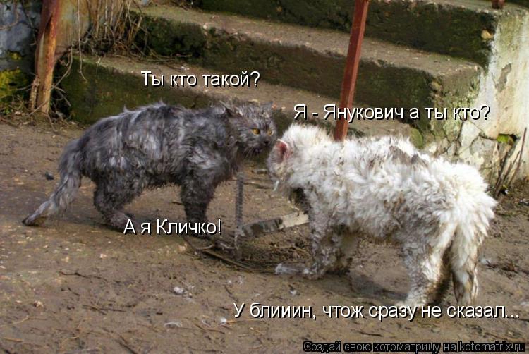 Ты кто такой? Я - Янукович а ты кто? А я Кличко! У блииин, чтож сразу не сказал...... Котоматрица: Ты кто такой? Я - Янукович а ты кто? А я Кличко! У блииин, чтож сразу не сказал...