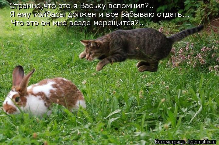 Странно,что это я Ваську вспомнил?.. Что это он мне везде мерещится?.. Я ему колбасы должен и все заб... Котоматрица: Странно,что это я Ваську вспомнил?.. Что это он мне везде мерещится?.. Я ему колбасы должен и все забываю отдать...