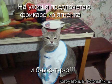 Котоматрица: На ужин я предпочетаю  фрикасе из ягнёнка и б-ы-с-т-р-о!!!