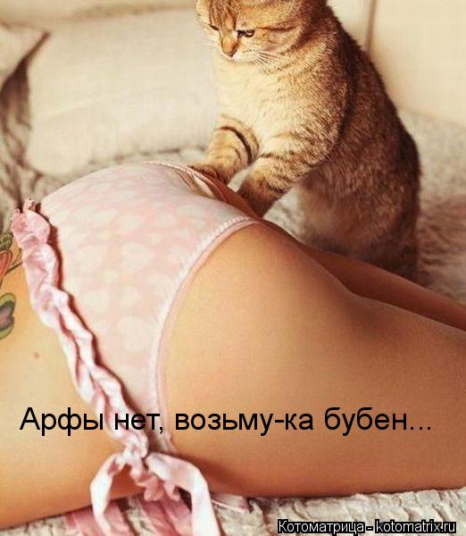 Арфы нет, возьму-ка бубен...... Котоматрица: Арфы нет, возьму-ка бубен...