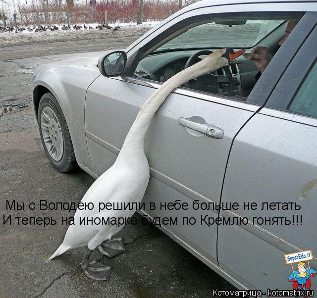 Котоматрица: Мы с Володею решили в небе больше не летать И теперь на иномарке будем по Кремлю гонять!!!