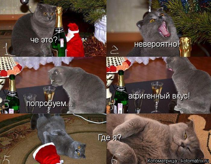 че это? невероятно! попробуем... афигенный вкус! Где я?... Котоматрица: че это? невероятно! попробуем... афигенный вкус! Где я?
