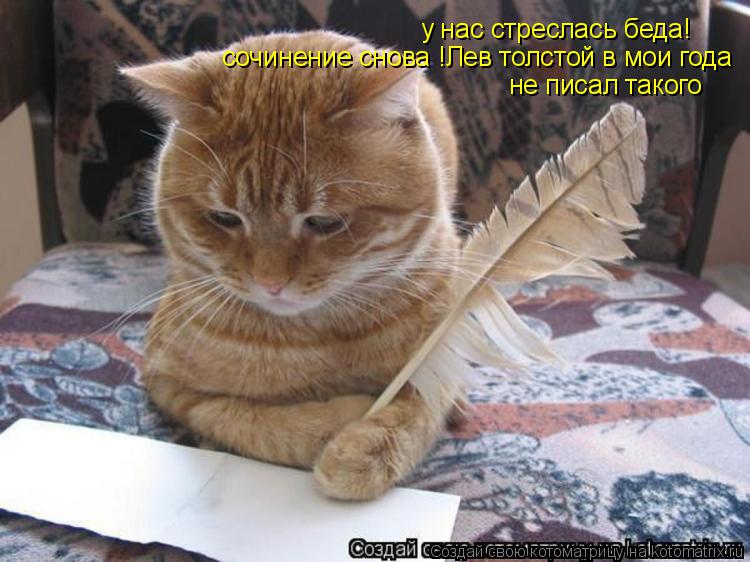 Котоматрица: у нас стреслась беда! сочинение снова !Лев толстой в мои года  не писал такого