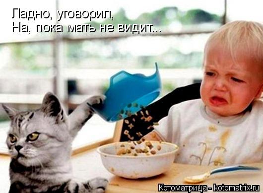 Ладно, уговорил, На, пока мать не видит...... Котоматрица: Ладно, уговорил, На, пока мать не видит...