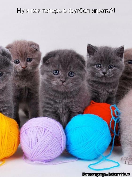 Котоматрица: Ну и как теперь в футбол играть?!