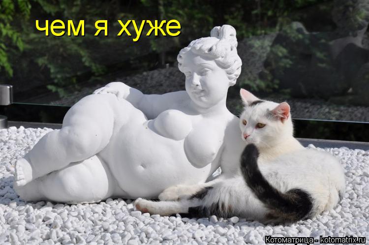 чем я хуже... Котоматрица: чем я хуже