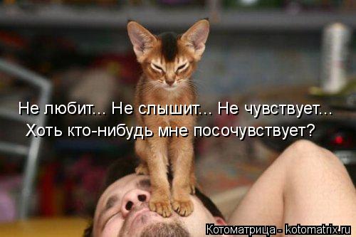 Не любит... Не слышит... Не чувствует... Хоть кто-нибудь мне посочувствует?... Котоматрица: Не любит... Не слышит... Не чувствует... Хоть кто-нибудь мне посочувствует?