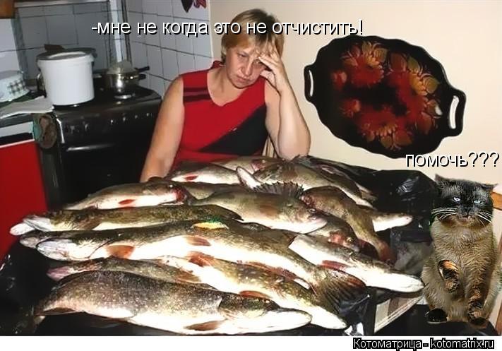-мне не когда это не отчистить! помочь???... Котоматрица: -мне не когда это не отчистить! помочь???