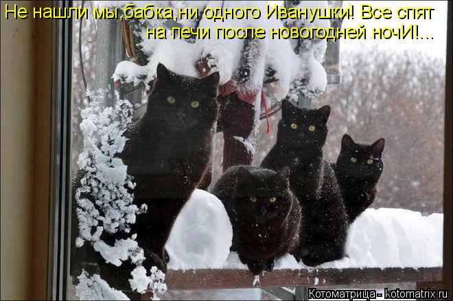 Не нашли мы,бабка,ни одного Иванушки! Все спят на печи после новогодней ночИ!...... Котоматрица: Не нашли мы,бабка,ни одного Иванушки! Все спят на печи после новогодней ночИ!...
