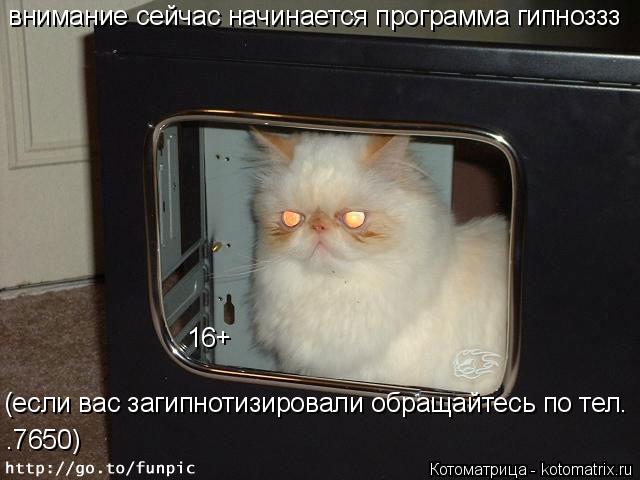 16+ (если вас загипнотизировали обращайтесь по тел. .7650) внимание сейчас начинается программа гипно... Котоматрица: 16+ (если вас загипнотизировали обращайтесь по тел. .7650) внимание сейчас начинается программа гипноззз