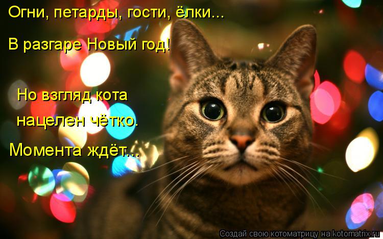 Огни, петарды, гости, ёлки... В разгаре Новый год! Момента ждёт... Но взгляд кота нацелен чётко.... Котоматрица: Огни, петарды, гости, ёлки... В разгаре Новый год! Момента ждёт... Но взгляд кота нацелен чётко.