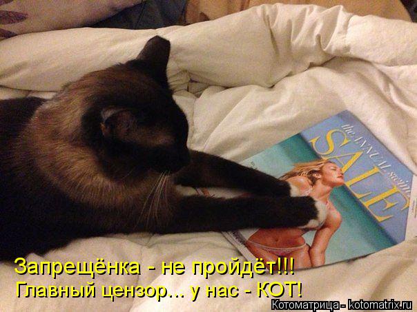 Запрещёнка - не пройдёт!!! Главный цензор... у нас - КОТ!... Котоматрица: Запрещёнка - не пройдёт!!! Главный цензор... у нас - КОТ!